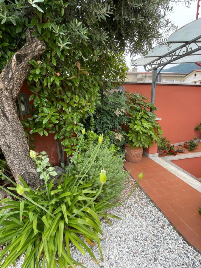 In Versilia Seravezza Zewnętrze zdjęcie