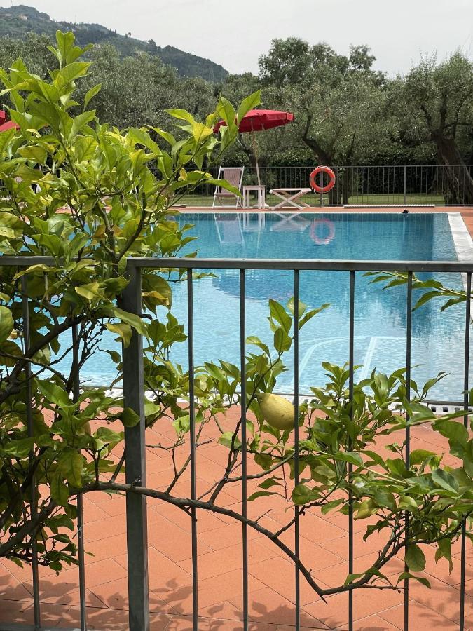 In Versilia Seravezza Zewnętrze zdjęcie