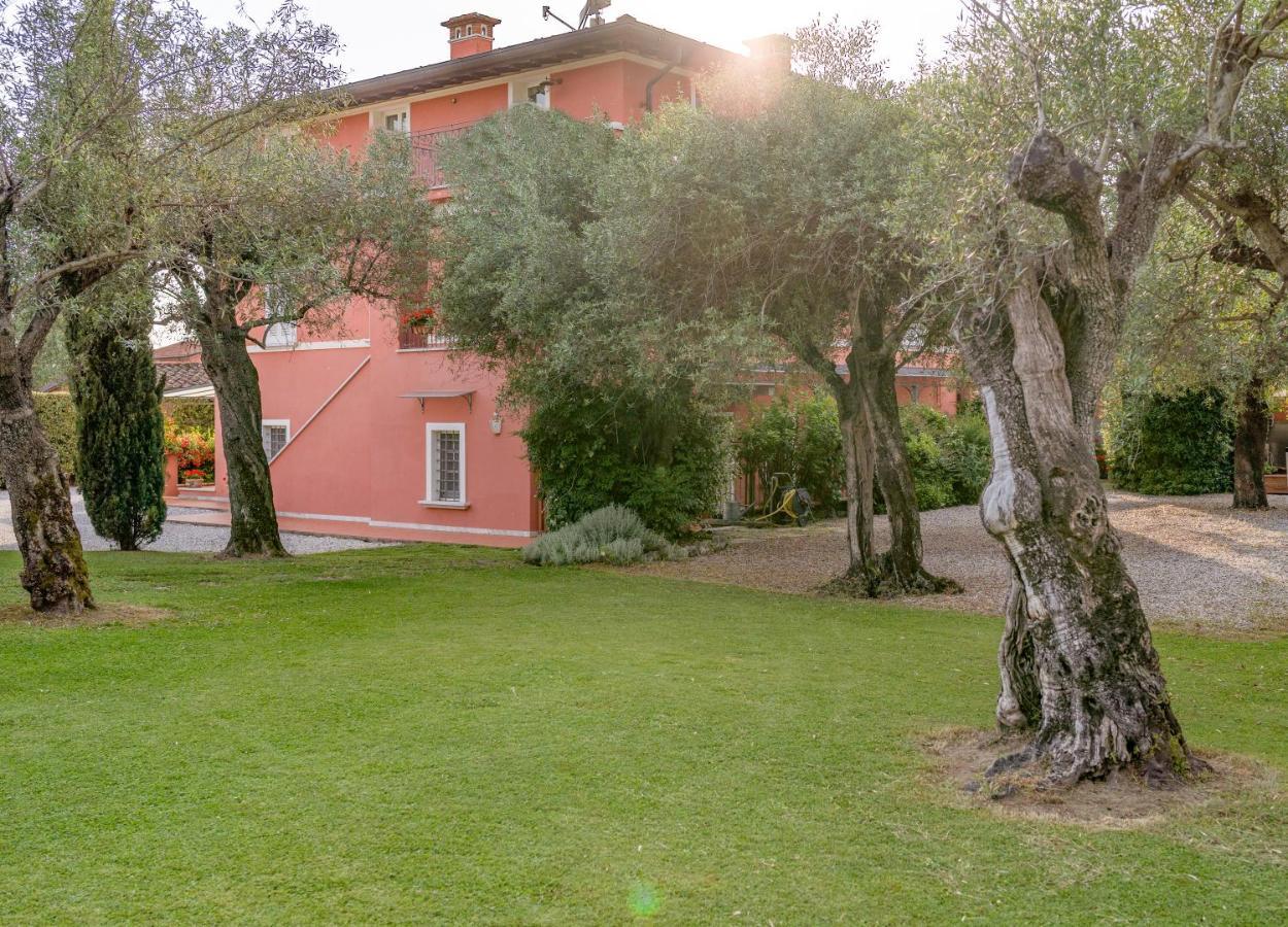 In Versilia Seravezza Zewnętrze zdjęcie