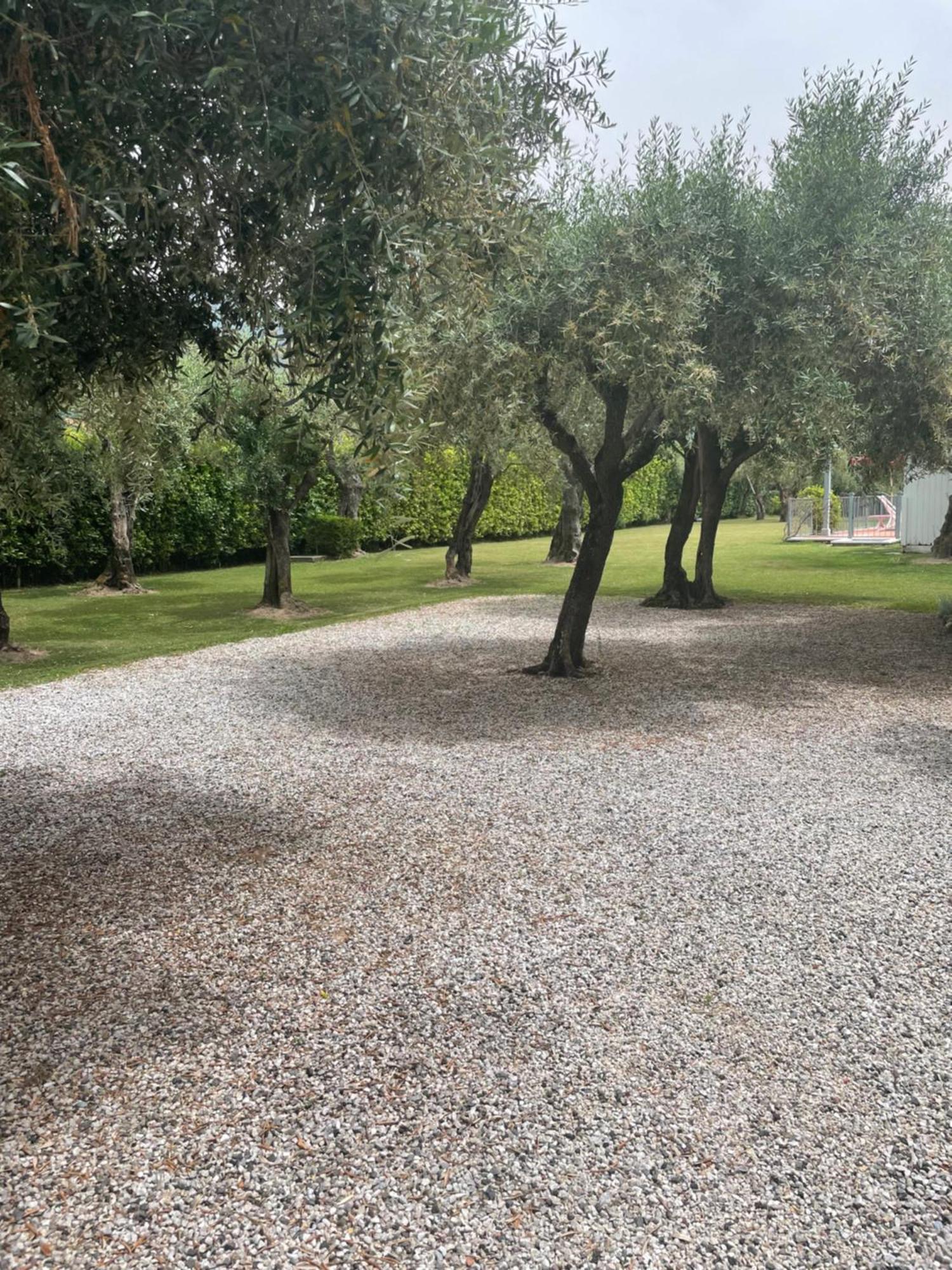 In Versilia Seravezza Zewnętrze zdjęcie